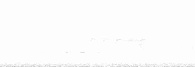 White-winged Triller - ML178550161