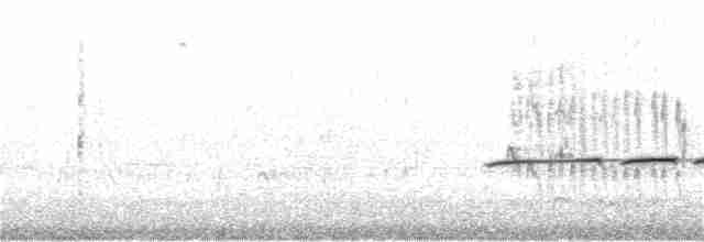 Медолюб строкатий - ML178552361
