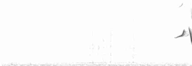 Rufous Whistler - ML178552481