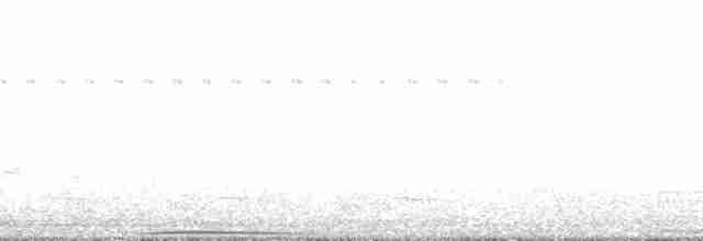 holub srílanský - ML178578