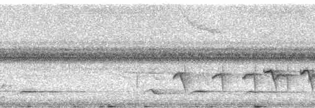 Мурав’янка-прудкокрил жовтовола - ML17858