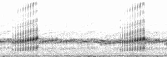 Brimley's Chorus Frog - ML178729