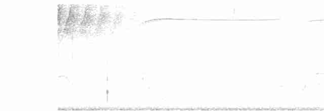 Gri Göğüslü Çilardıcı - ML178798981