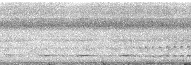 Серый тиранн-плакса - ML17884