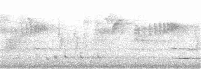 Ядлівчак сірий - ML179151131