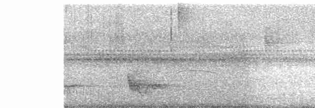 Swallow-tailed Manakin - ML179261181