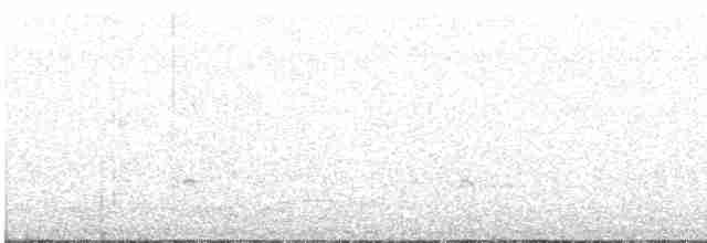 Plush-crested Jay - ML179274341