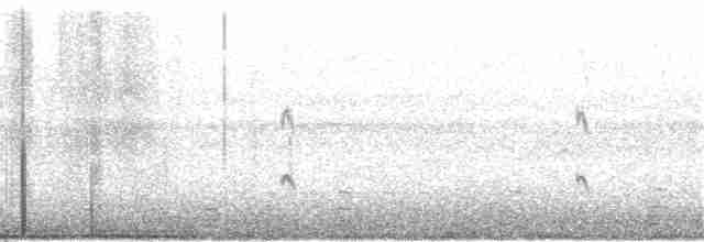 Common Tern - ML179364321