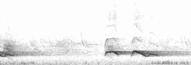 Зозуля білогорла - ML179403