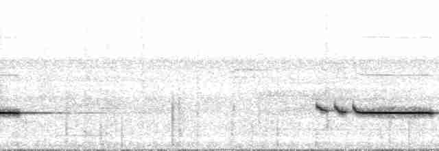Striped Wren-Babbler - ML179554
