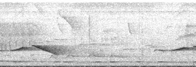 Бурошапочная тимелия-говорушка - ML179579
