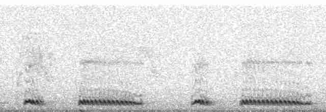 Mountain Gray Woodpecker - ML17962