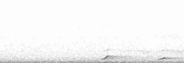 white-handed x pileated gibbon (hybrid) - ML179638