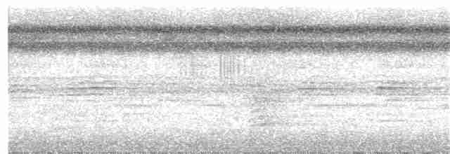 Tinamou de Berlepsch - ML179640831