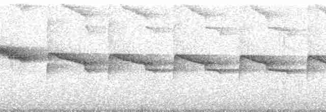 Long-tailed Broadbill - ML179649