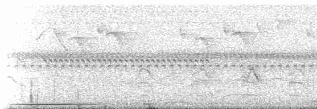 Fork-tailed Flycatcher (savana) - ML179658281