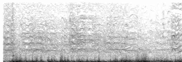 Arctic Tern - ML179692951