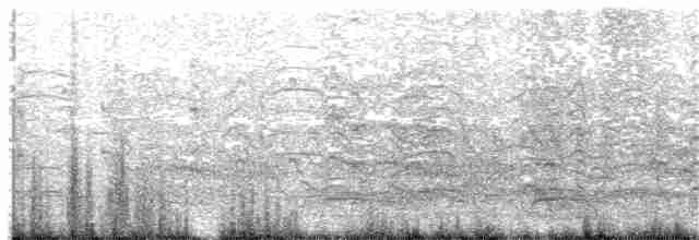 Common Tern - ML179694711