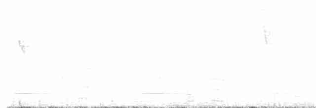Troglodyte inca - ML179728871