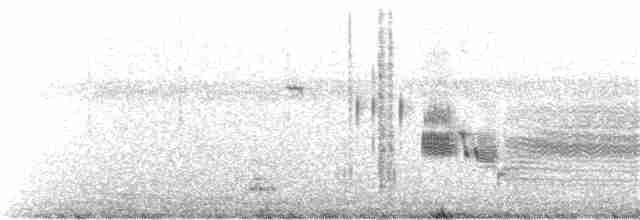 Приморская овсянка-барсучок - ML179780051