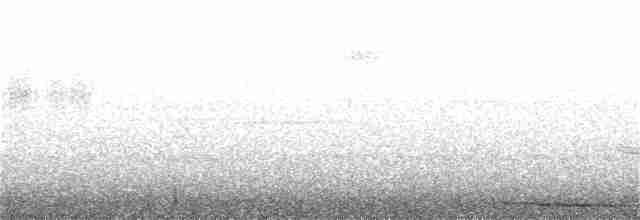 holub panamský - ML179811801