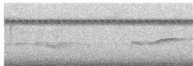 Lattice-tailed Trogon - ML179815501