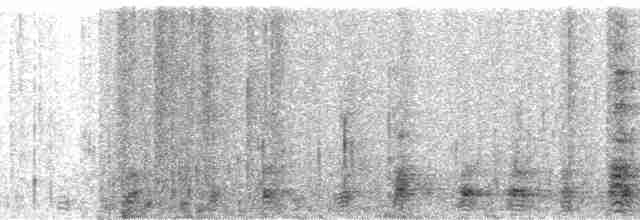Квак широкодзьобий (підвид cochlearius/panamensis) - ML179830