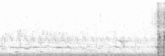 holub chocholatý - ML179860251
