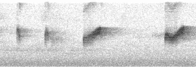 Мухоїд світлогорлий (підвид sulphurescens) - ML179864