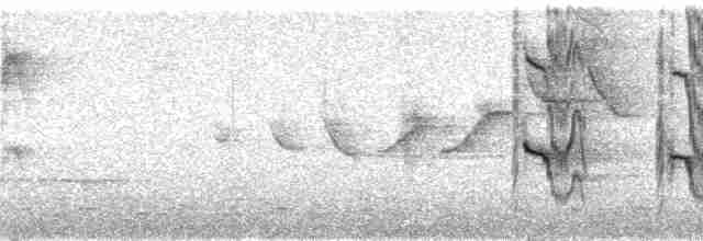 Челноклювый бентеви (pitangua) - ML179875