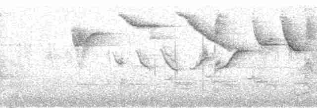 Челноклювый бентеви (pitangua) - ML179877
