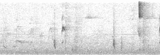 Boğmaklı Çalı Serçesi (taciturnus/nigrirostris) - ML179879