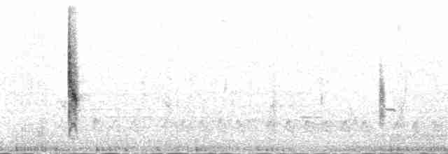 Carouge à épaulettes (groupe phoeniceus) - ML179921