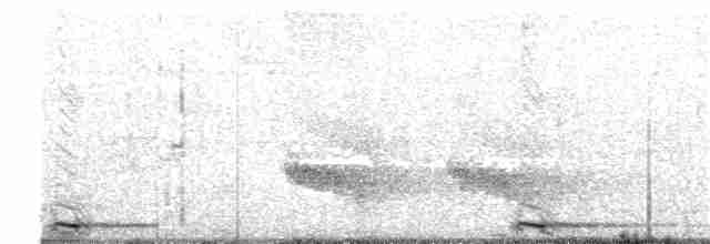 Южноамериканский лапчатоног - ML179936591