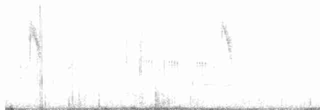 Берингийская жёлтая трясогузка - ML180012051