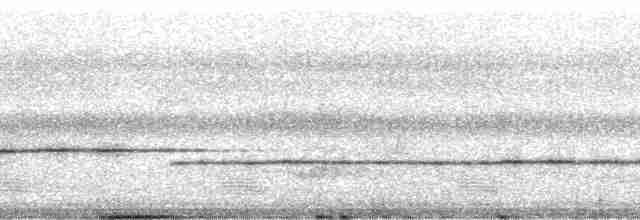 Соловьиный крапивник [группа marginatus] - ML18005