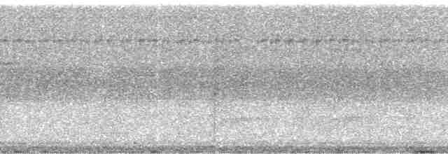 Дроздовая сельвиния [группа turdina] - ML18006