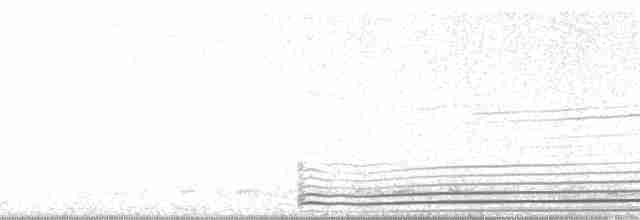 Wedge-tailed Shearwater - ML1801