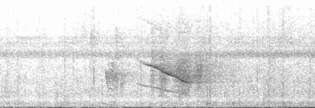 Горный цикадник - ML180107