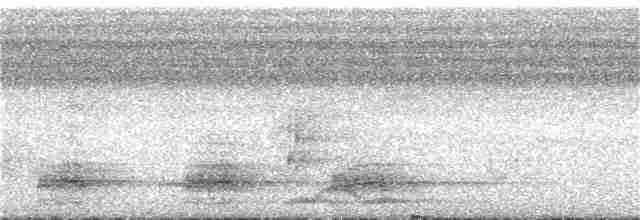 Andaman Kestane Yelvesi - ML180168911
