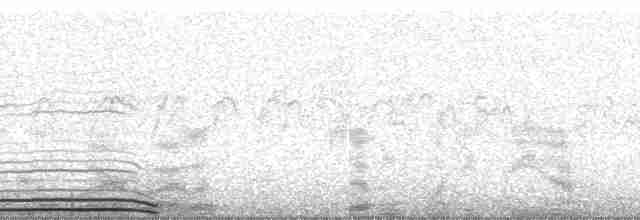 Wedge-tailed Shearwater - ML1802