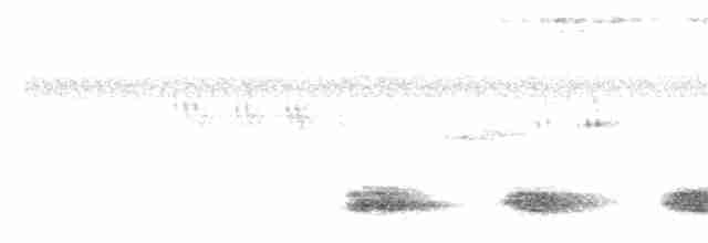 Andaman Kestane Yelvesi - ML180251661