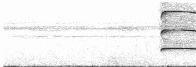 Çizgili Kulaklı Baykuş - ML180401101