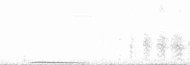 White Tern - ML180402031