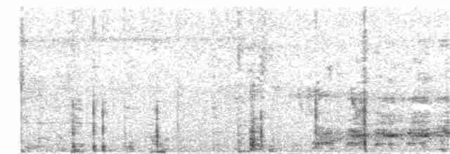 Серый павлиний фазан - ML180433821