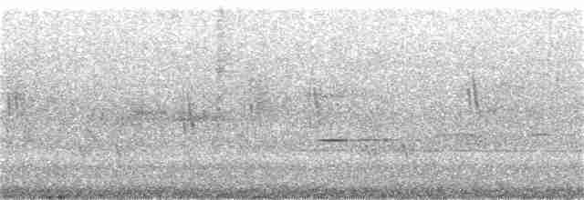 holub pestrokřídlý - ML180435951