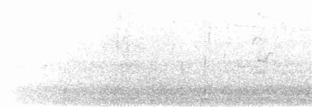 Крячок рябодзьобий - ML180466431