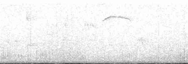 Geai des volcans - ML180499511