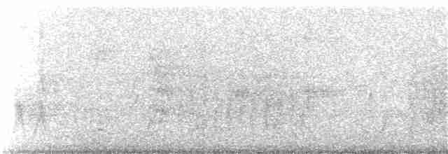 Светлоголовый тиранн - ML180519161