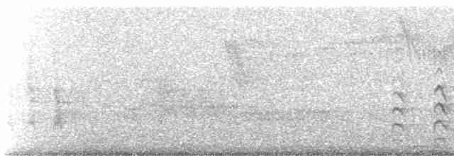 Светлоголовый тиранн - ML180519171